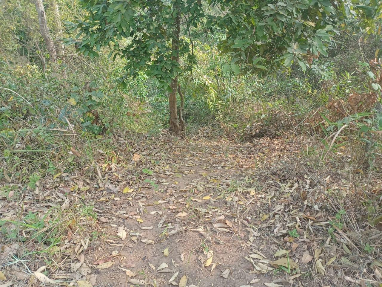 G:\VILLAGE REPORT PICTURES\mawker latest\WhatsApp Image 2023-02-06 at 12.16.32.jpeg